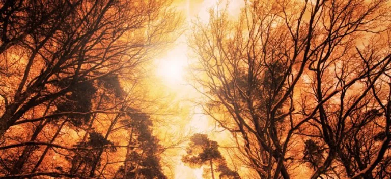 الحاجة إلى إبستمولوجيا التعقيد في الدرس الفلسفي