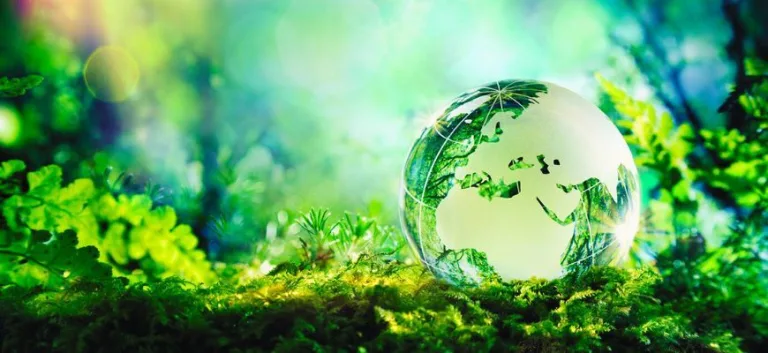 العِـلْمُ وَسُؤال الـقـيـم أو من فلسفة العـلم إلى فـلسـفة البيئة والأخـلاق