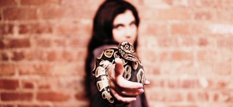 الاستعارة الحيوانية في رواية "ظل الأفعى" ليوسف زيدان