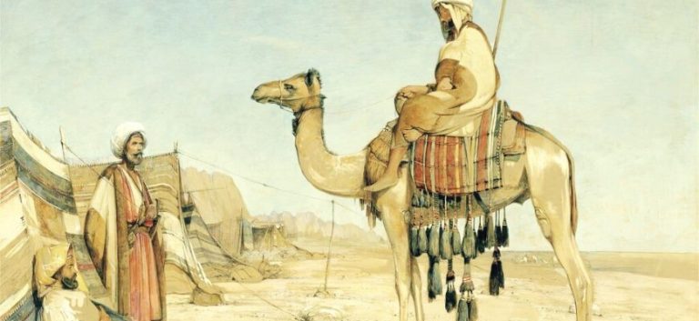 عقل الإسلام أم عقل البداوة؟